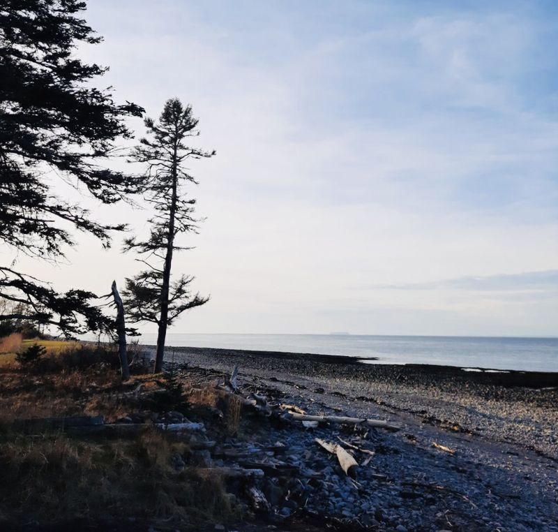 Point Pelee's Humming Shore