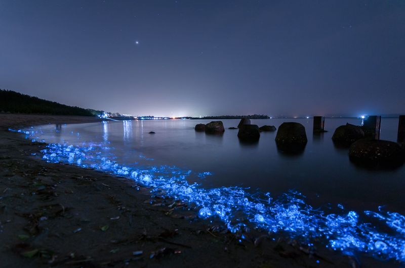 Grand Haven's Luminous Night Shores