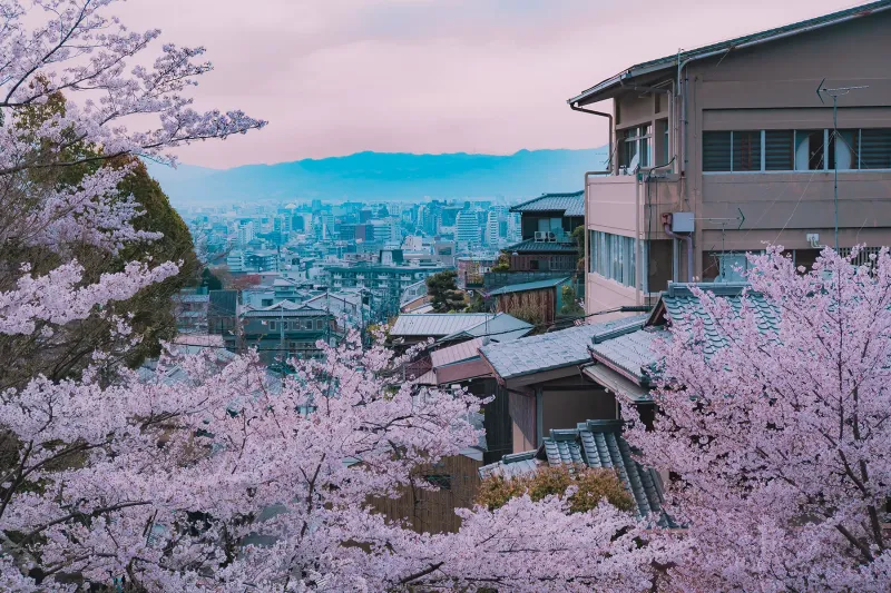 Japan
