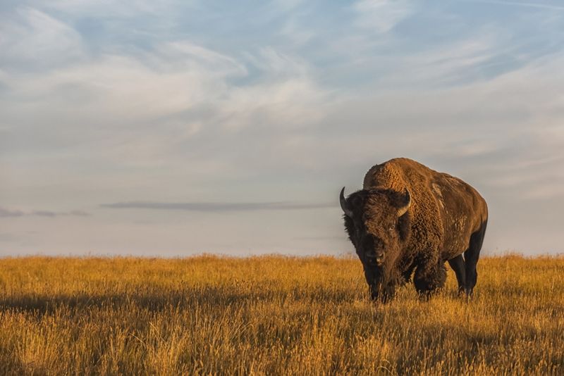 Grasslands National Park, Saskatchewan