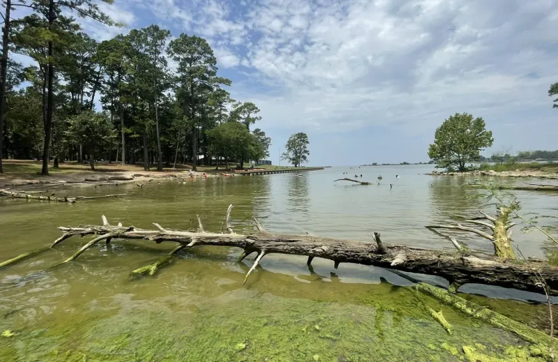 Whispering Pines Overlook