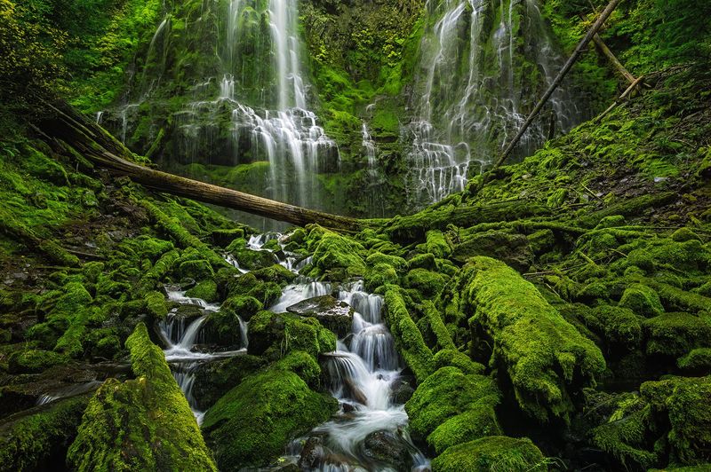 Proxy Falls — The Hidden Gem