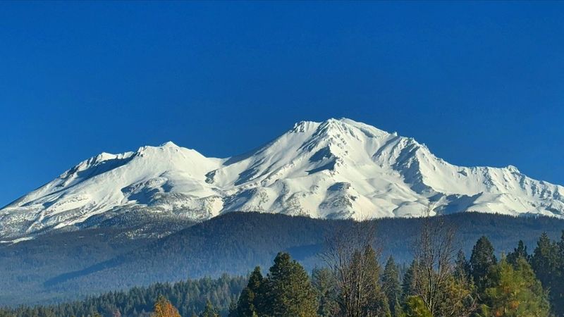 Mount Shasta