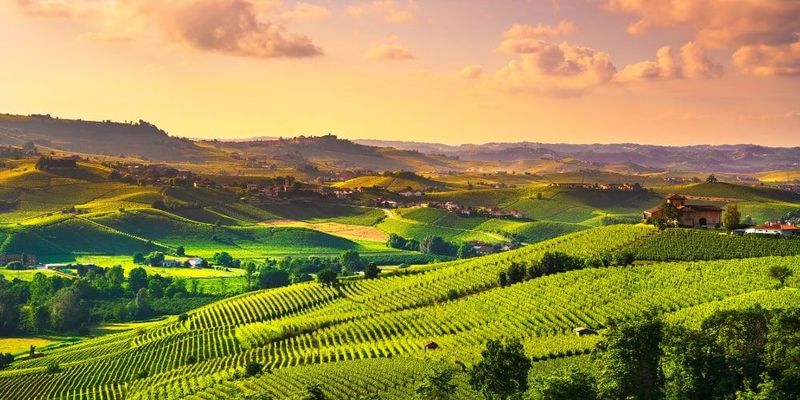 Slow Food Express Through Langhe Hills