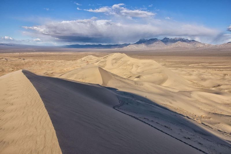 Mojave National Preserve