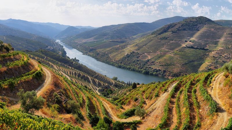 Douro River