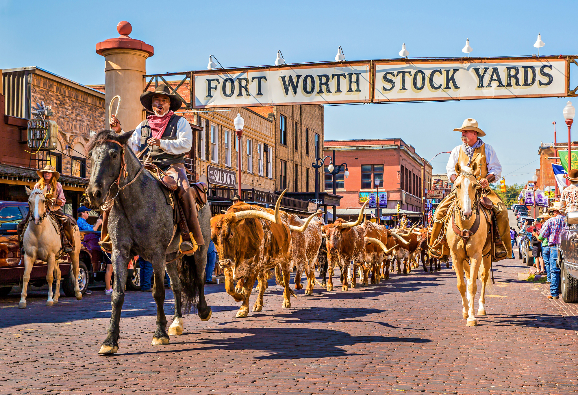 Watching Cattle Drives Through the Fort Worth Stockyards