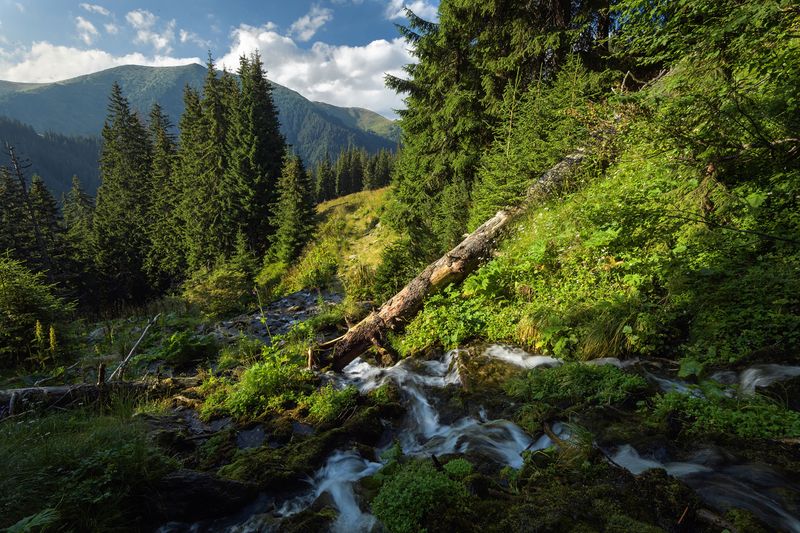 Carpathian Mountains – Romania