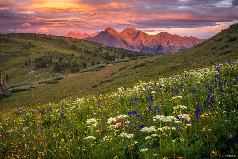 Wildflower Ridge