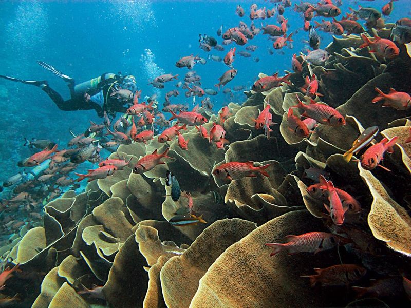 Palau, Micronesia