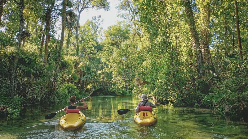 Kayaking Exploration