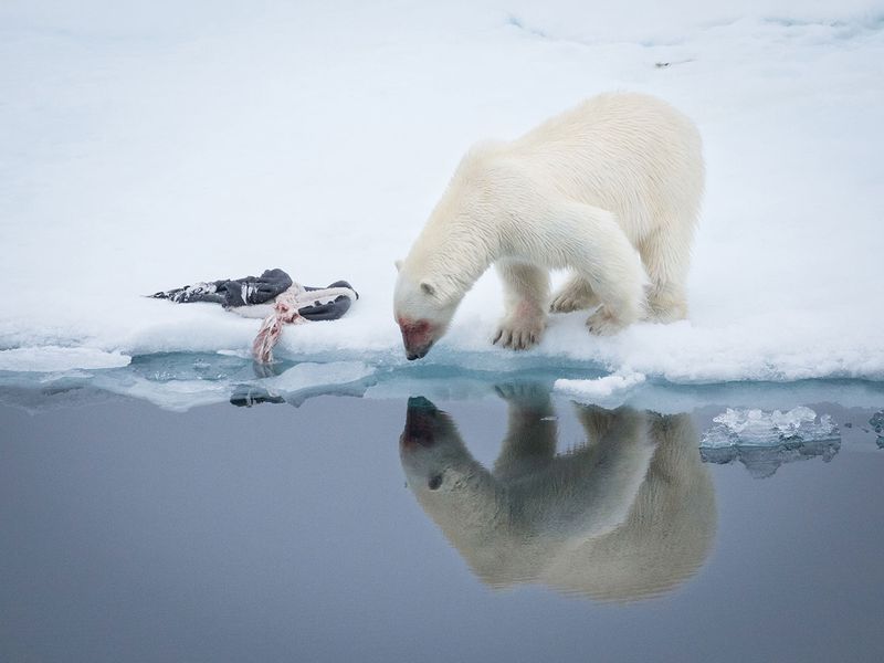 Svalbard, Norway