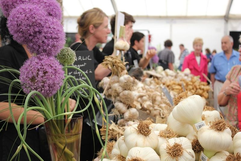 Garlic Festival on the Isle of Wight