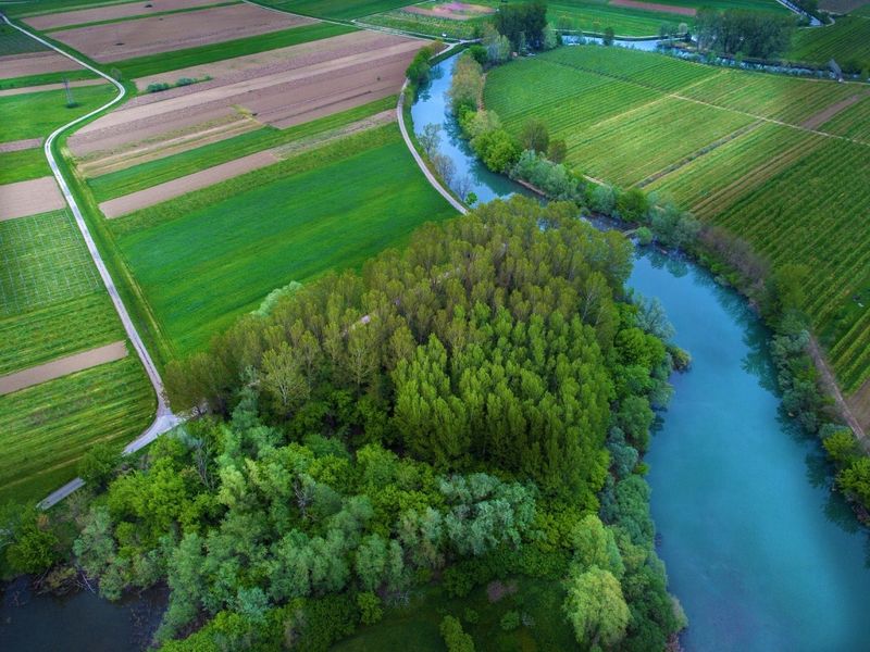 Vipava River