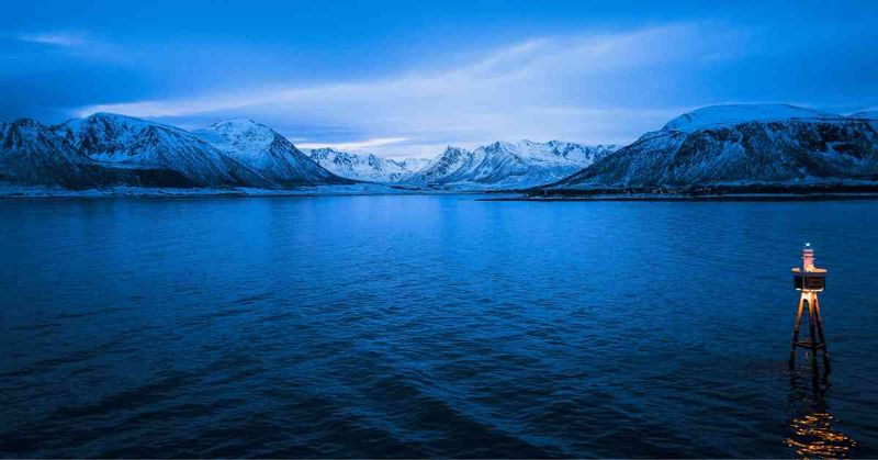 Norwegian Sea