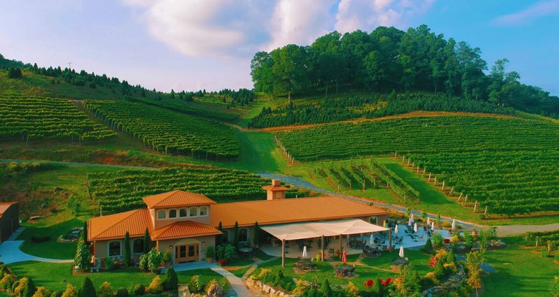 Mountain View Winery