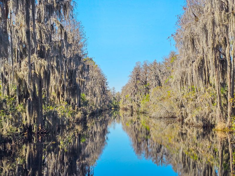 The Okefenokee Swamp, Georgia