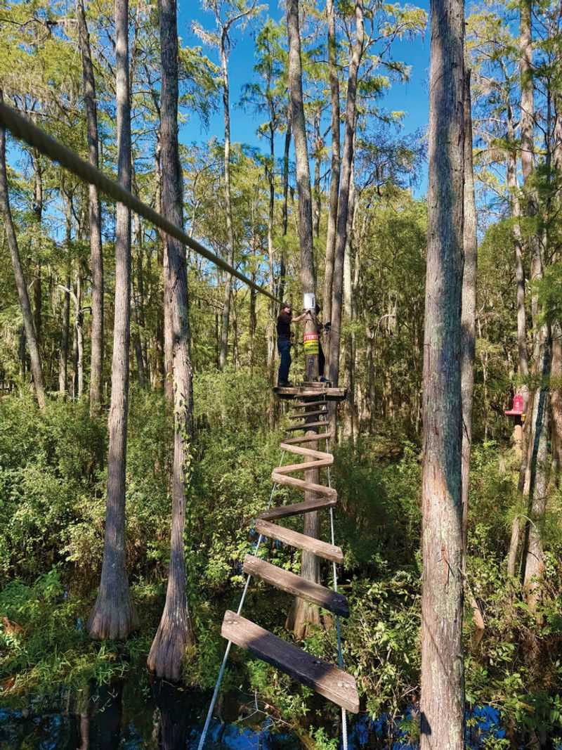 The Tallahassee Museum