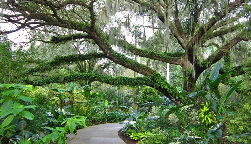 The Harry P. Leu Gardens