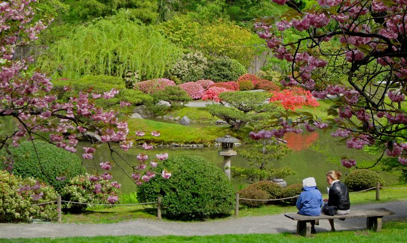 Tranquil Garden Walks