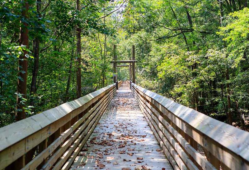 Nature's Trail Adventures
