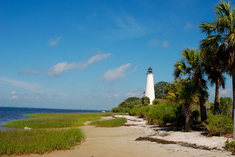 The St. Marks National Wildlife Refuge