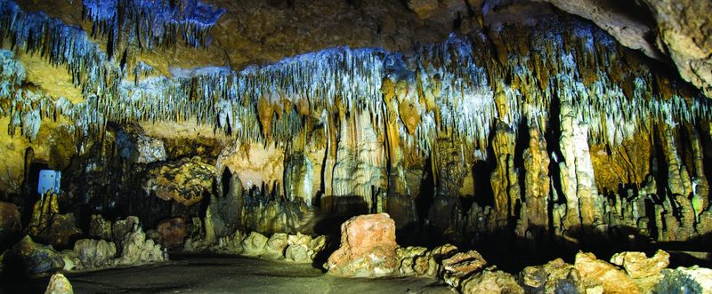 The Florida Caverns State Park