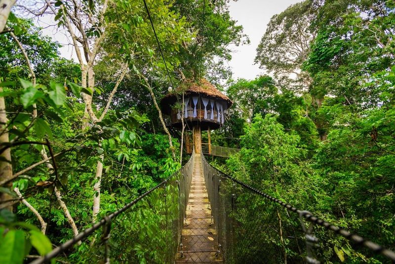 The Treehouse Lodge in the Amazon Rainforest, Peru