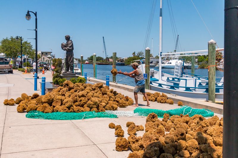 The Historic Sponge Docks