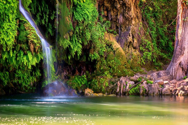 The Hidden Waterfall