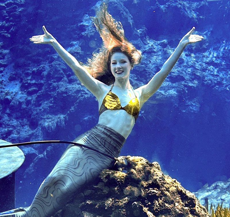 The Weeki Wachee Springs State Park