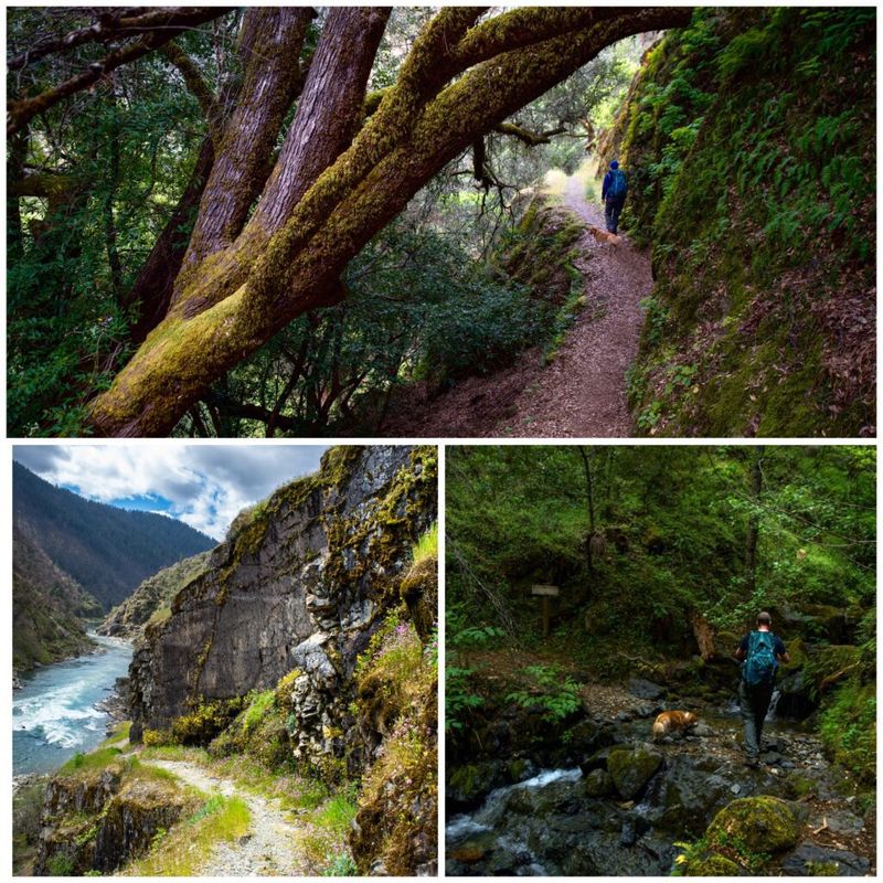Historic Rogue River Trail Hiking Experience