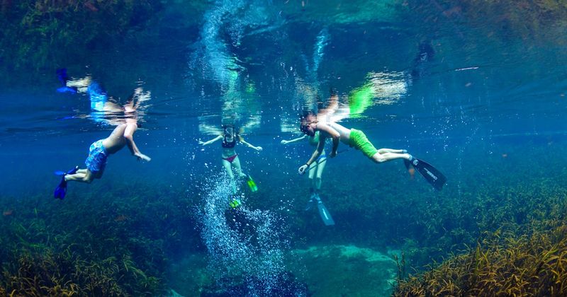 Snorkeling Adventure