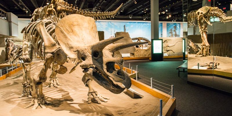 Royal Tyrrell Museum, Alberta