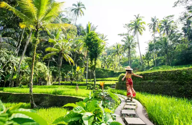 Bali, Indonesia ๐ฎ๐ฉ