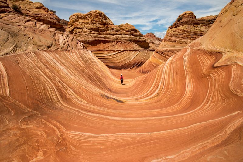 The Wave