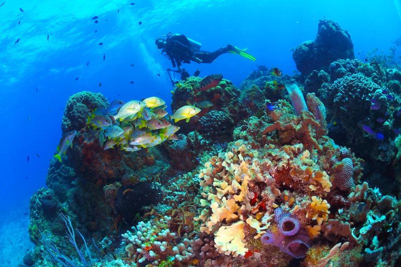 Cozumel