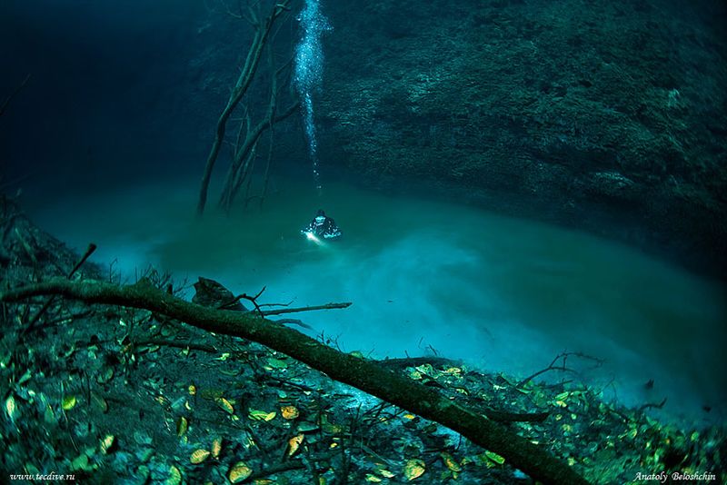 Submerged Caves, Cenote Angelita, Mexico