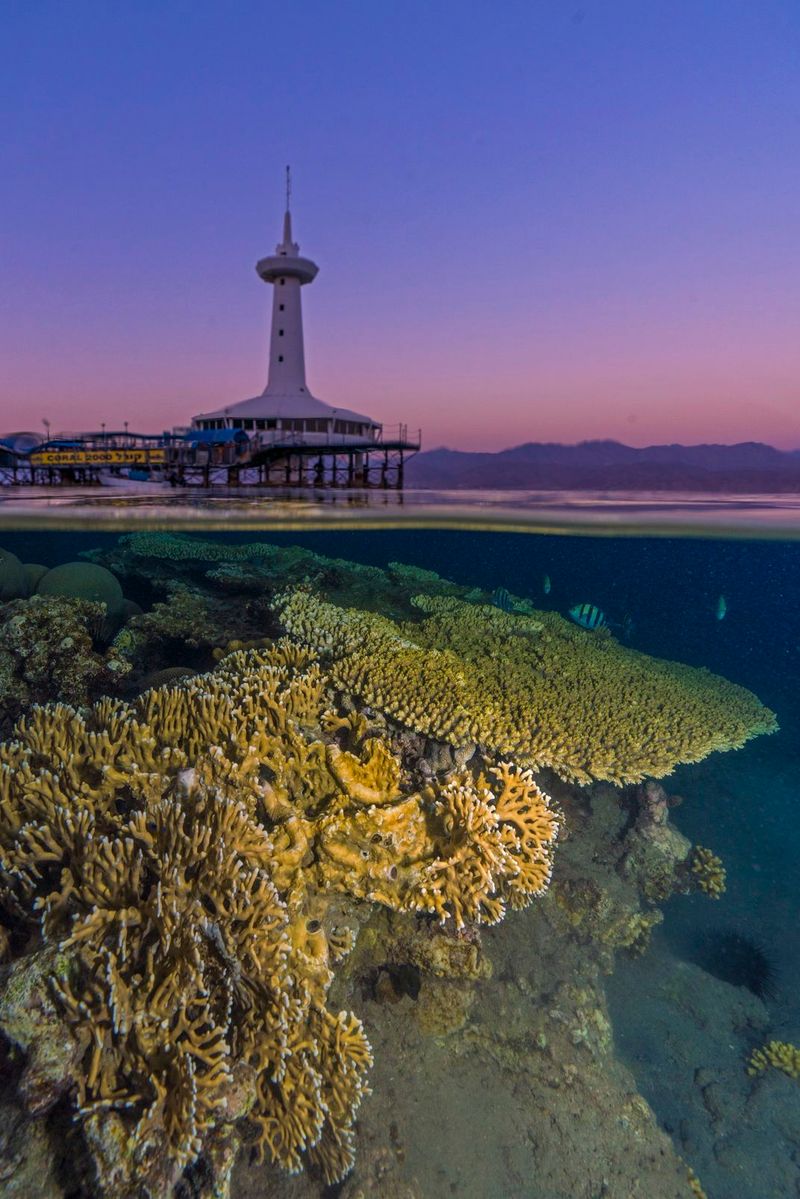Underwater Observatory, Israel