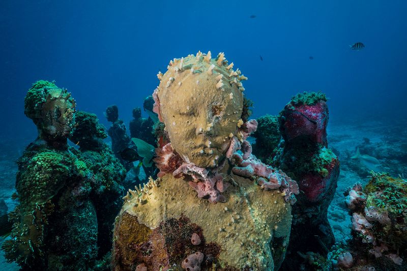 The Silent Evolution, Mexico
