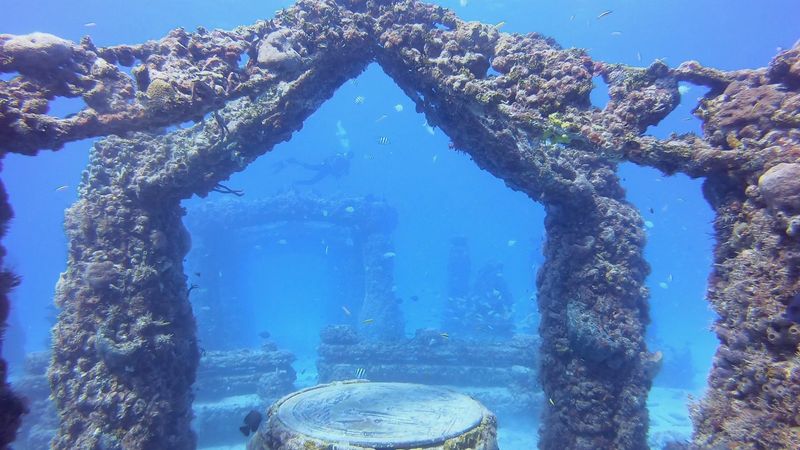 Neptune Memorial Reef, USA