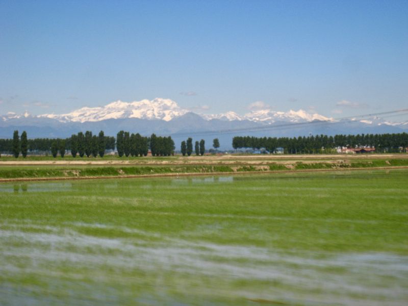 Rice Paddies Railway of Vercelli