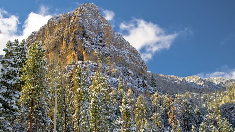 Mount Charleston