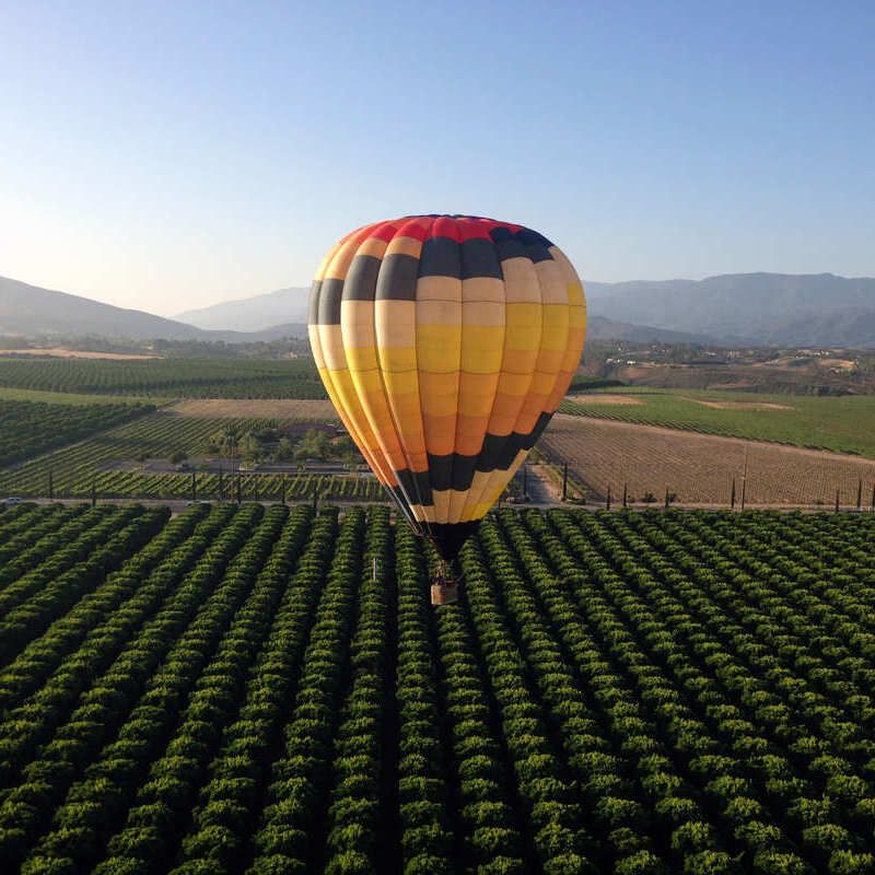 Temecula Valley Wine Country
