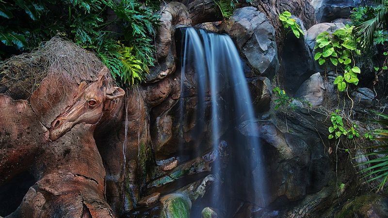 Mystical Forest Trail