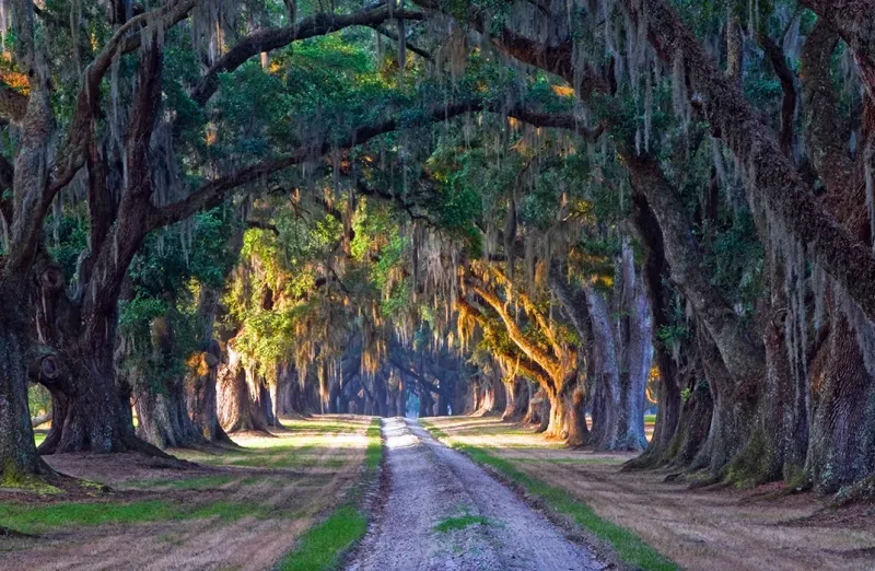 Greenbow – Beaufort, South Carolina