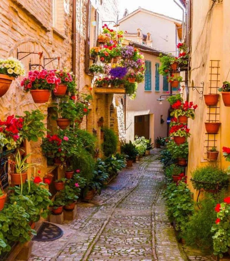 Spello - Flower Festival Village