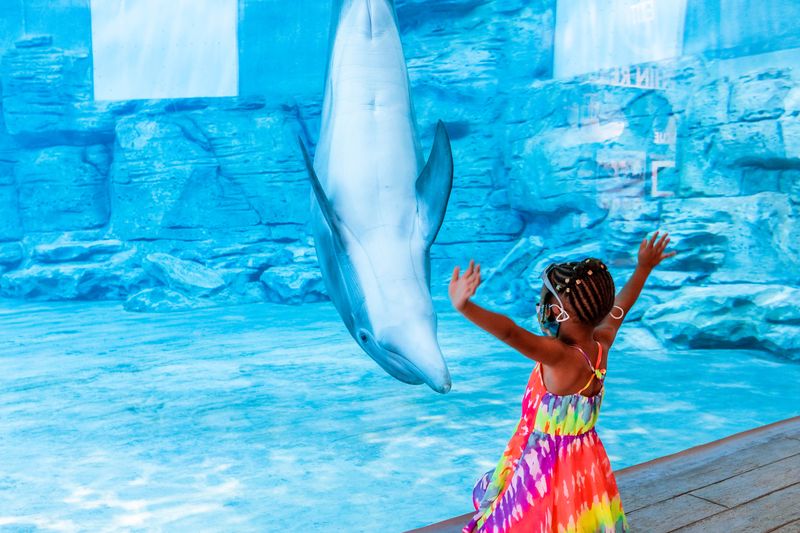 The Clearwater Marine Aquarium
