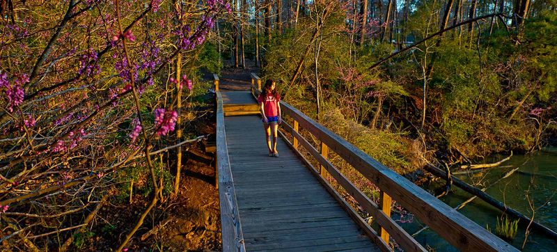 Riverside Marshes Trail