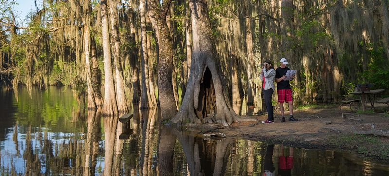 Cypress Hollow Boardwalk